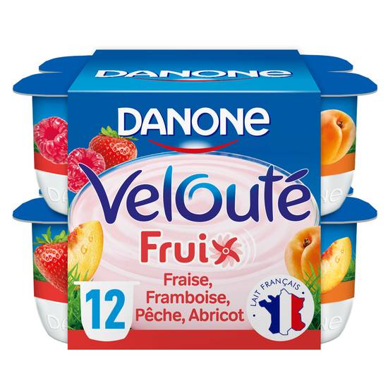 Danone - Velouté fruix yaourt aux fruits brassé, 12 bocaux