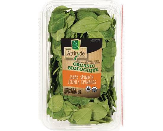 Fresh Attitude · Jeunes épinards biologiques Attitude Fraîche - Organic baby spinach (283 g)