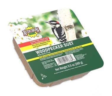 Audubon Park Woodpecker Suet Wild Bird Food (9.5 oz)