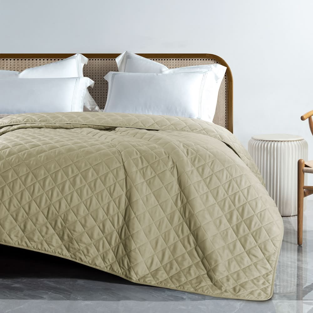 Solid Microfiber Down Alternative Blanket, Queen (Queen, Simply Taupe)