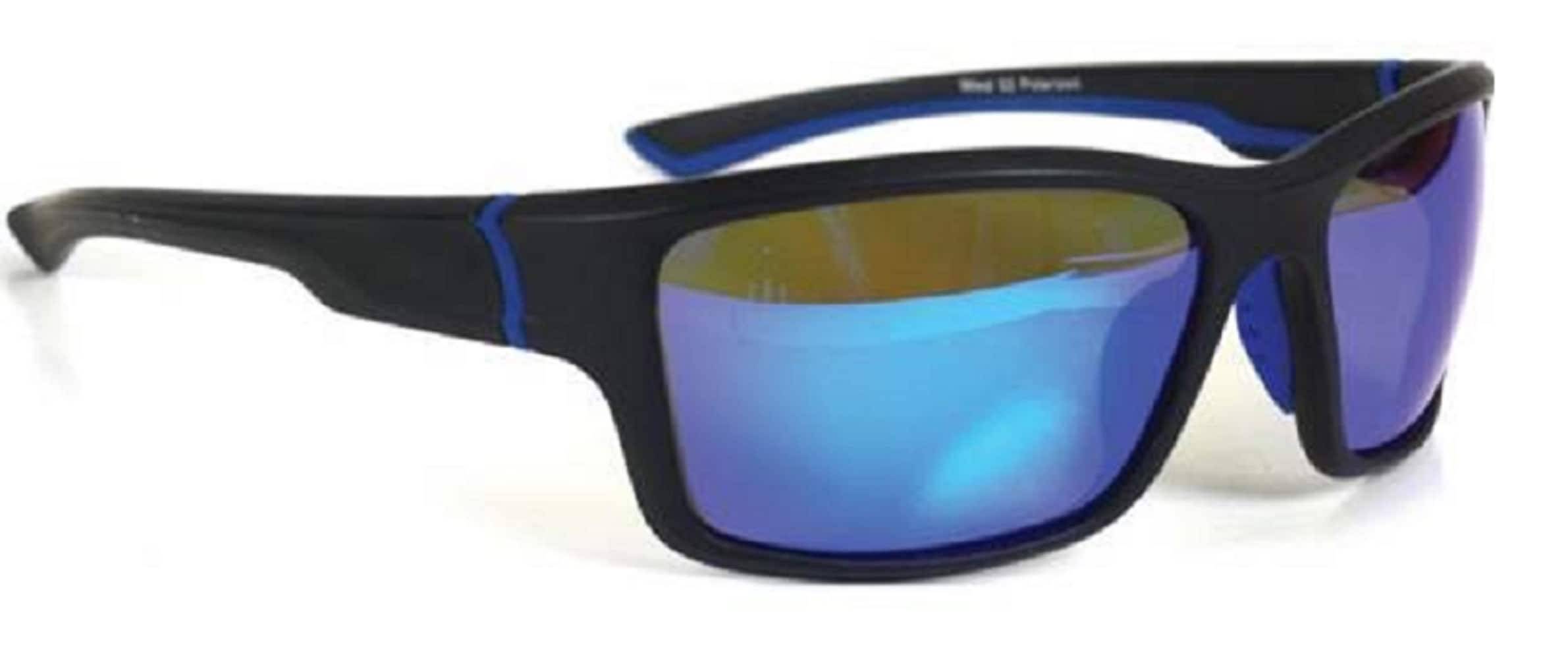 Hillman Adult Unisex Blue Plastic Sunglasses | 1HE88750