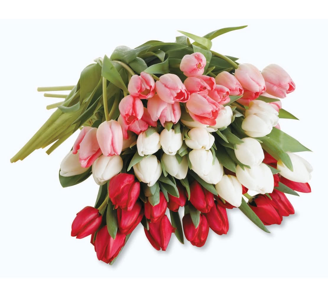 Tulip Bouquet, Yellow