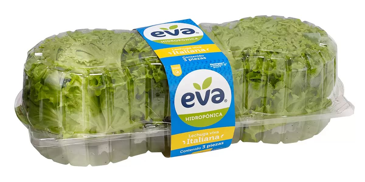 Eva · Lechuga italiana hidropónica (3 un)