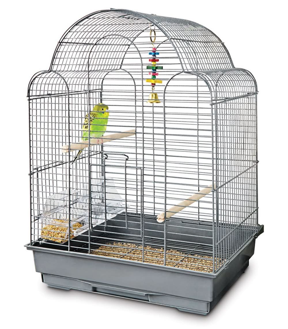 You And Me · Hábitat modelo 3 arcos para loro, gris