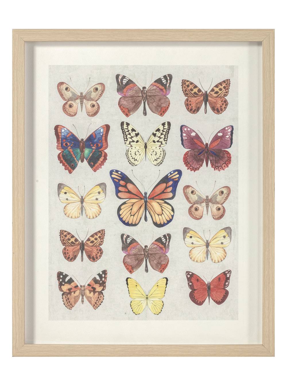 Attimo cuadro comp mariposas colores (50 x 40 cm)