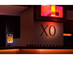 XO Bar & Grill (XO Bar & Grill)