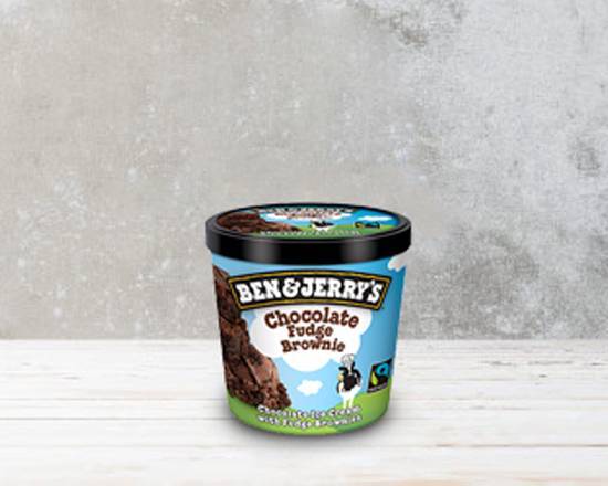 Ben and Jerrys Chocolate Fudge Brownie Mini Tub