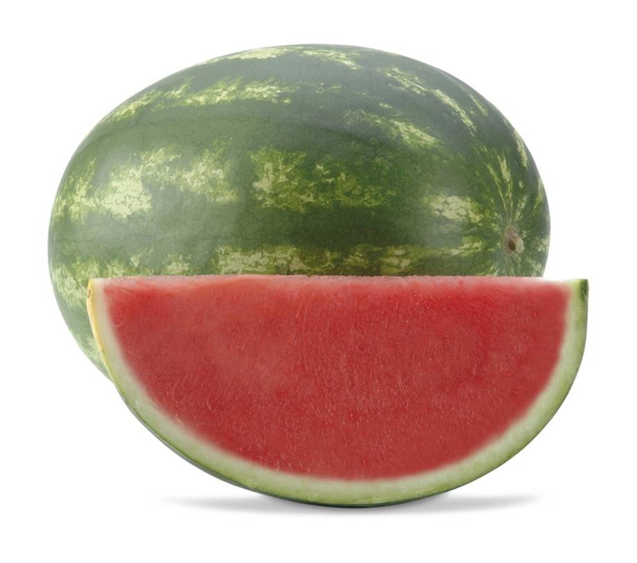 Mini pastèque sans pépins - mini seedless watermelon