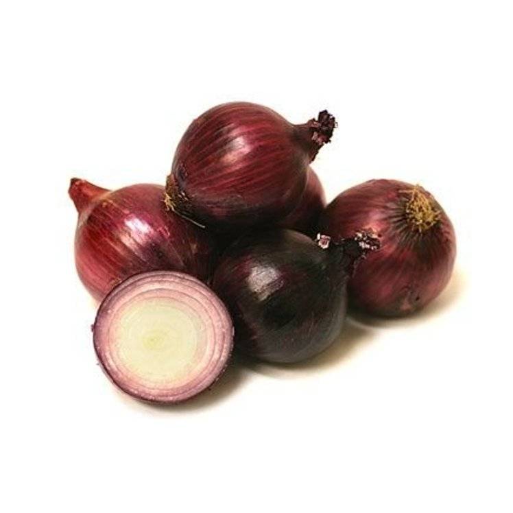 Jumbo Red Onions Fresh