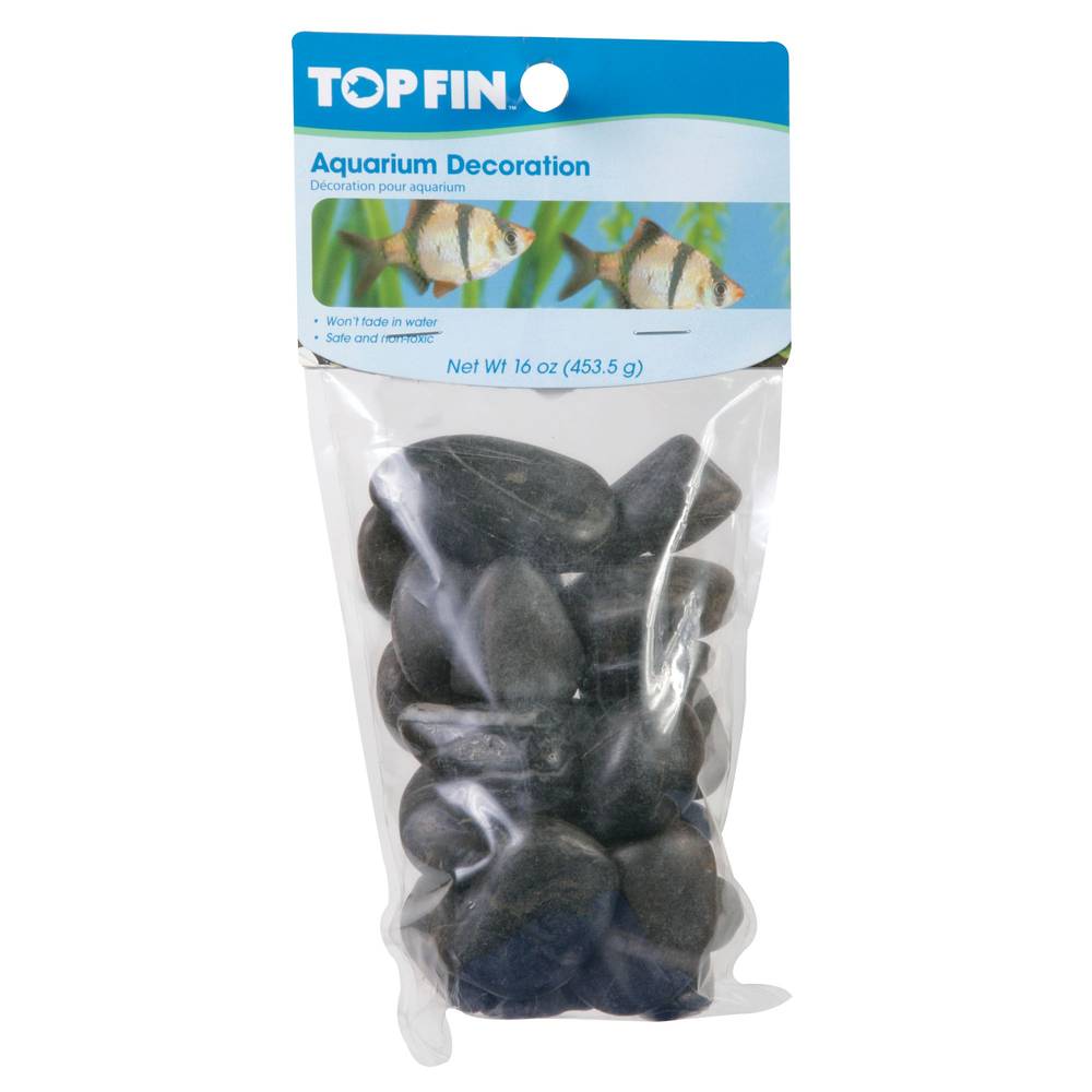 Top Fin® River Rock Aquarium Décor - Black (Color: Black)