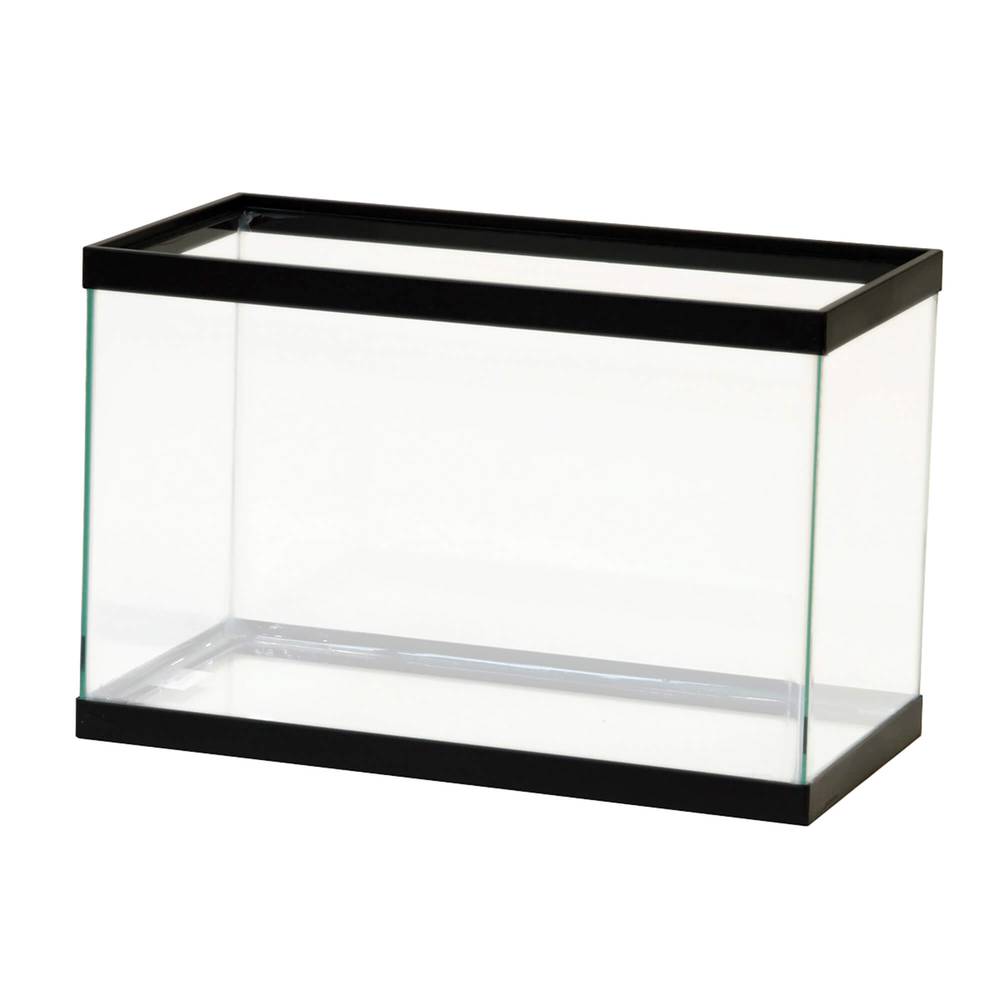 Aqueon Standard Glass Rectangle Aquarium, Black-Clear Silicone