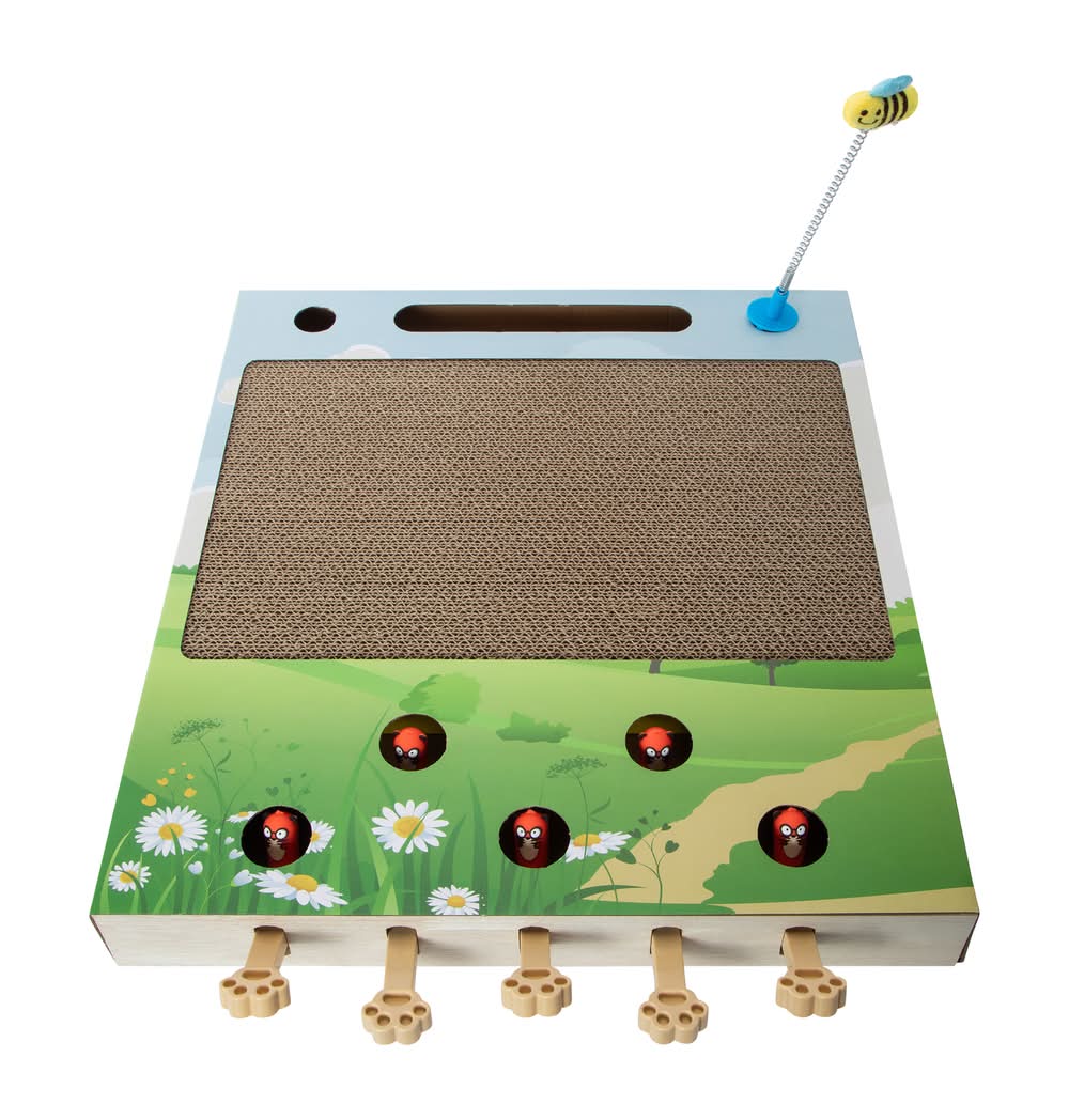 Hide And Seek Scratcher Pet Toy