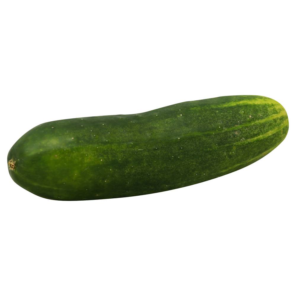 Cucumber