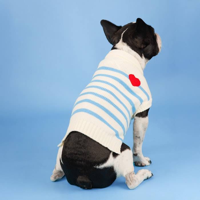 Draper James Striped Heart Dog Sweater, X-Small, White  Pet Care  Essentials Delivered with Love | Uber Eats