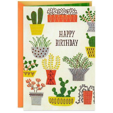Hallmark Birthday Card (Laugh, Smile and Celebrate Life) E43 - 1.0 ea
