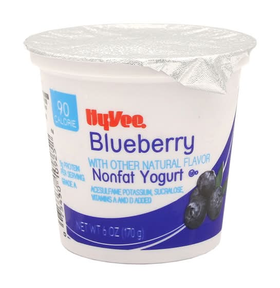 Hy-Vee Nonfat Yogurt, Blueberry (6 oz)