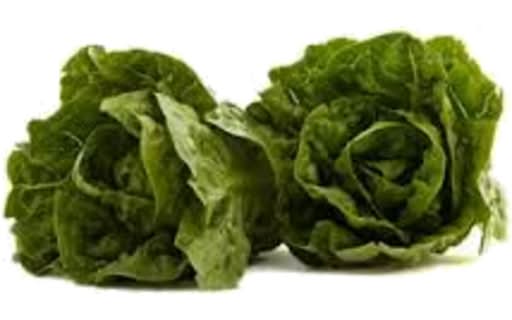 Lettuce Cos Baby
