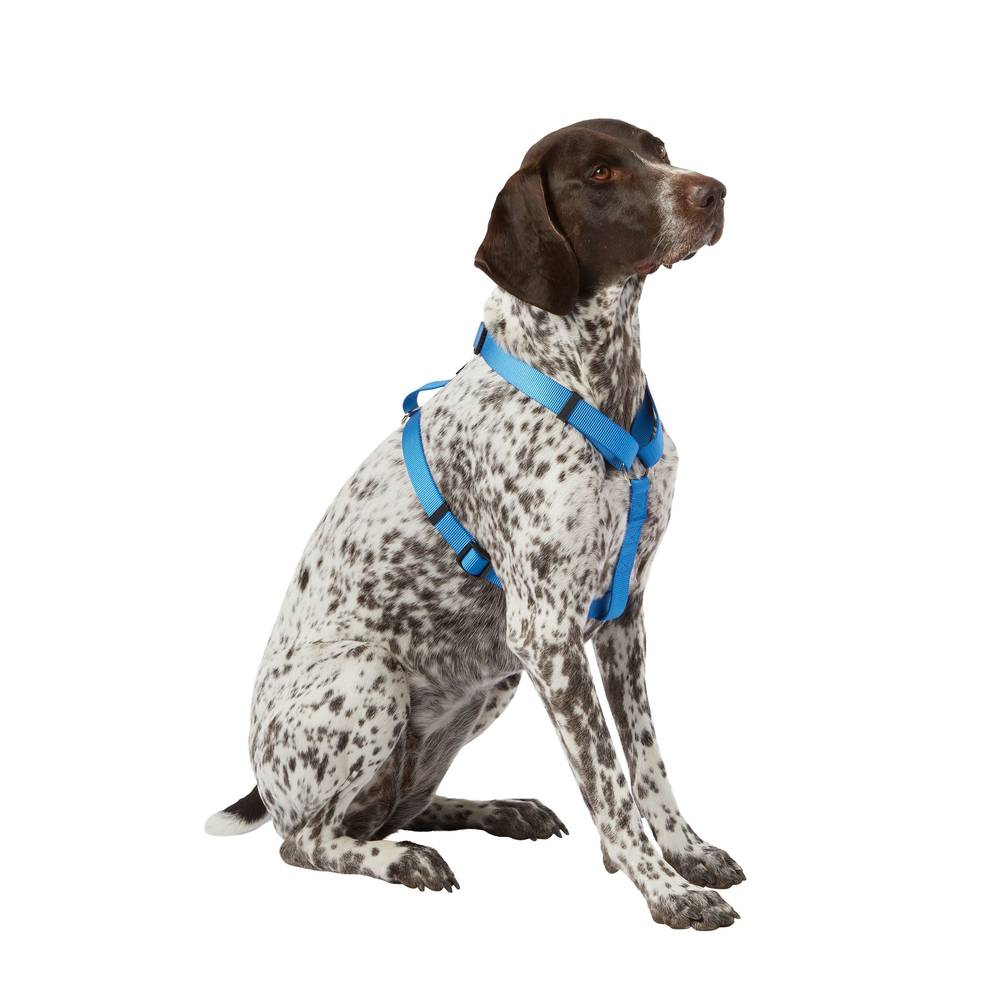 Top Paw® Signature Adjustable Dog Harness (Color: Blue, Size: Small)
