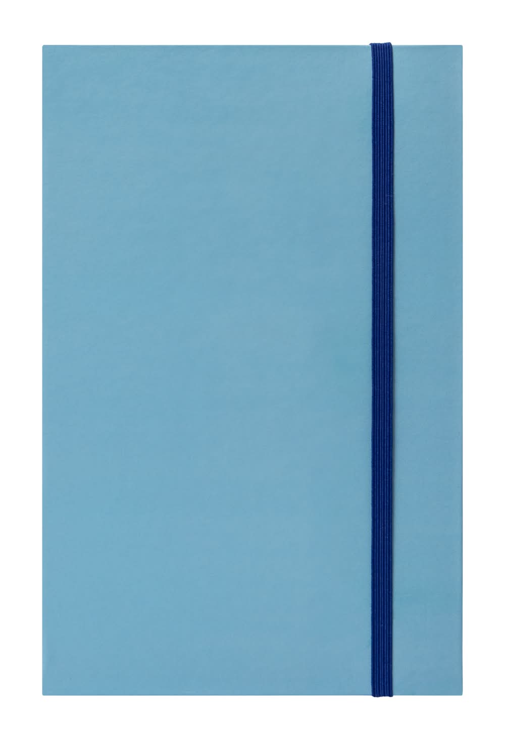 Professional Notebook Journal Blue