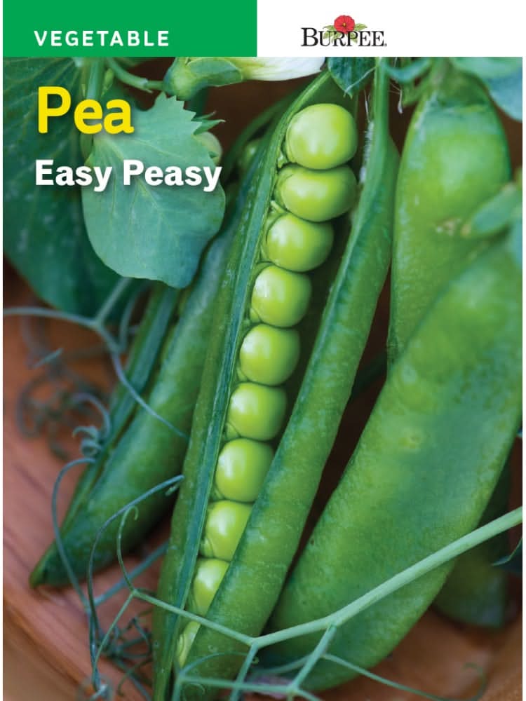 Burpee® Easy Peasy Pea Seeds