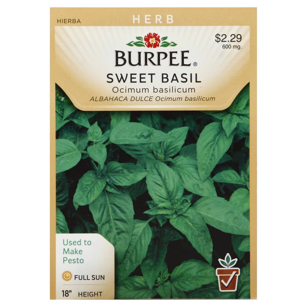 Burpee Basil Sweet Ocimum Basilicum