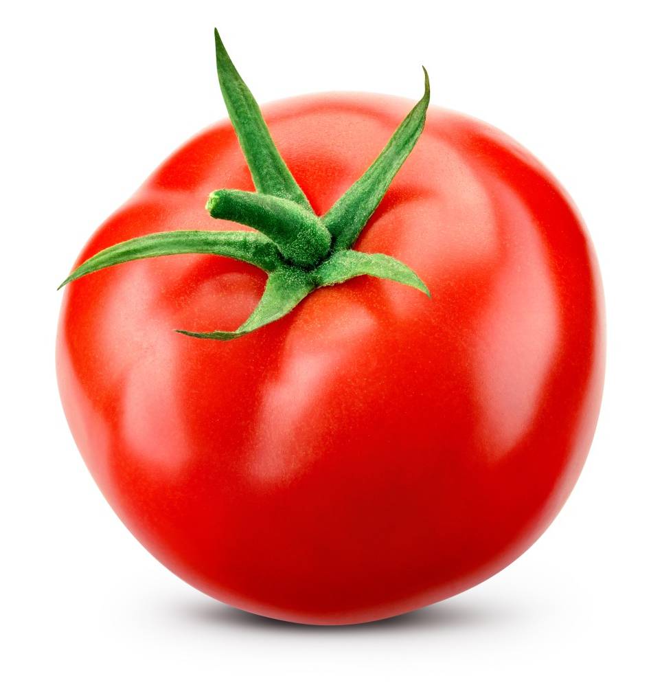 Tomate