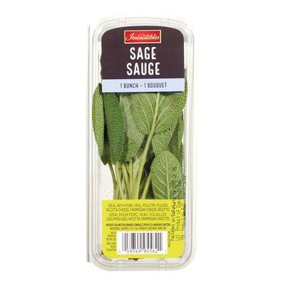 Irresistibles · Sauge (21 g) - Sage (21 g)