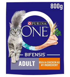 Purina ONE Adult Dry Cat Food Chicken and Wholegrains 800g