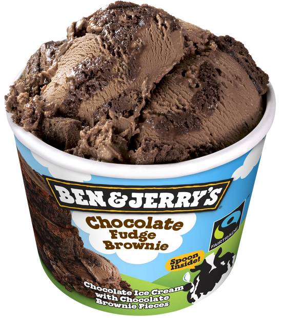 Ben & Jerrys - Chocolate Fudge Brownie 100ml
