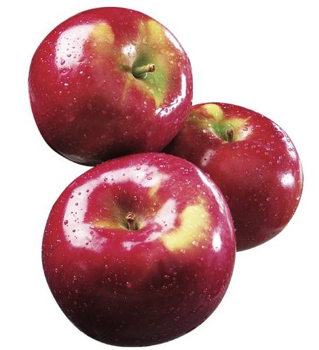 Mcintosh Apples