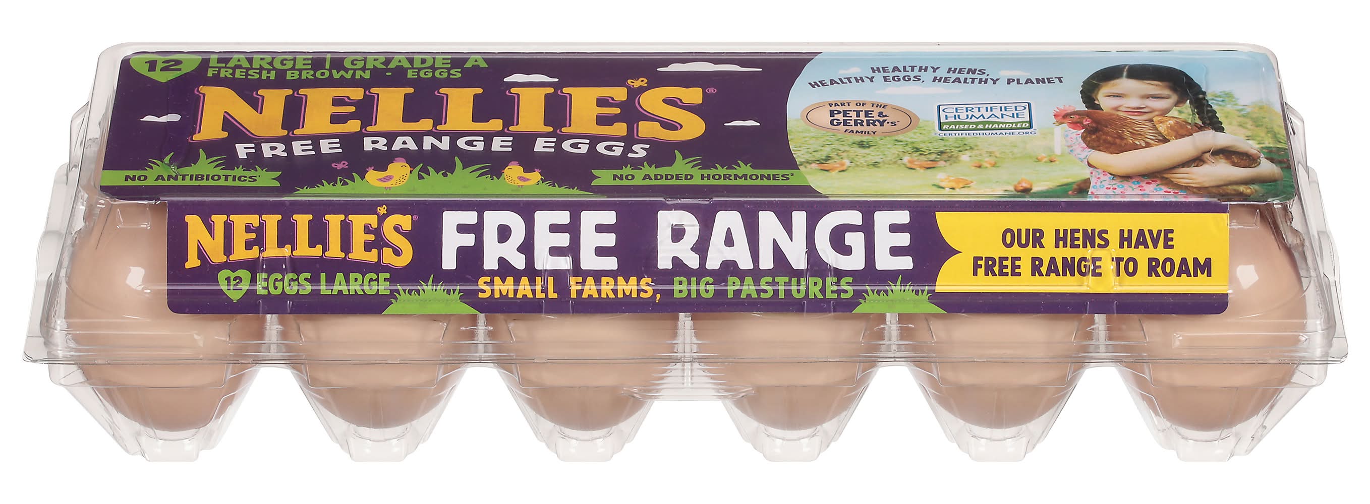 Nellie's Grade a Free Range Fresh Brown Eggs, L (24 oz, 12 ct)
