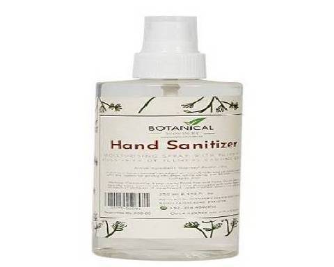 Hand Sanitizer Spray  (330 ml)