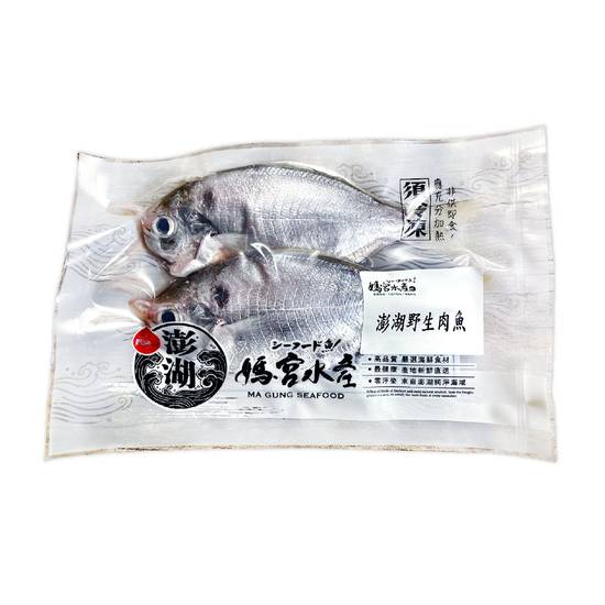 媽宮水產-澎湖野生肉魚(180g/2尾/包)