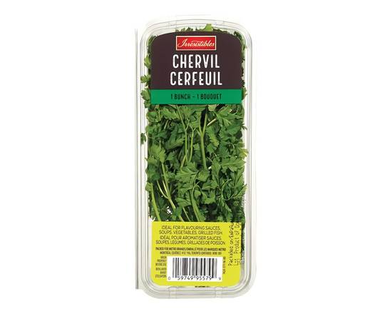 Irresistibles · Cerfeuil (1 botte) - Chevril (10 g)
