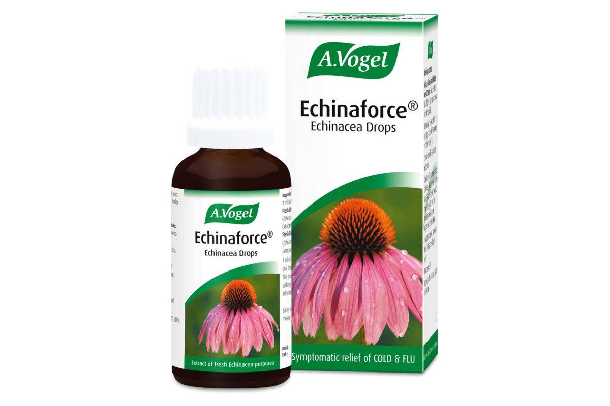 A.Vogel Echinaforce Echincea Drops 50ml