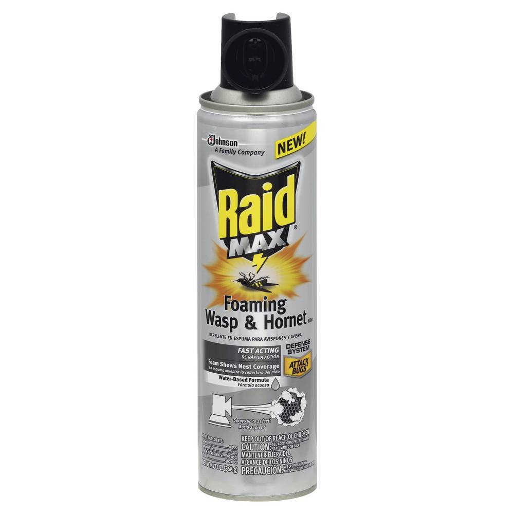 Raid Max Foaming Wasp & Hornet Killer (13 oz)