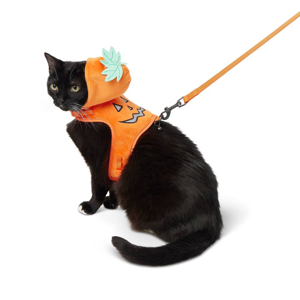 PetSmart Thrills & Chills Pumpkin Kitten Harness & Leash Combo Set (orange)