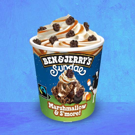 Ben&Jerry's - Marshmallow & S'more 427ml