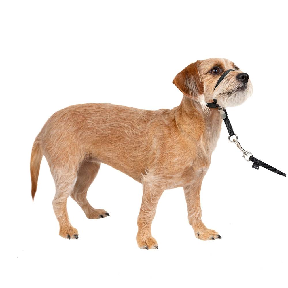 PetSafe® Gentle Leader® Training Dog Headcollar (Color: Black, Size: Small)