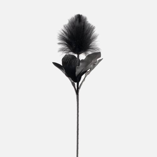 Desert Black Blooming Feather Pod by Torre & Tagus