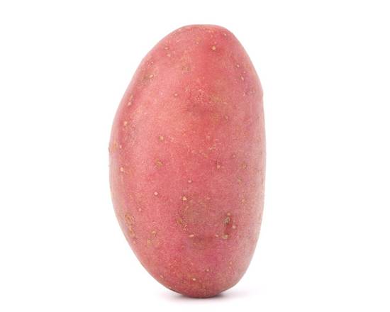 Red Petite Potato (1 potato)