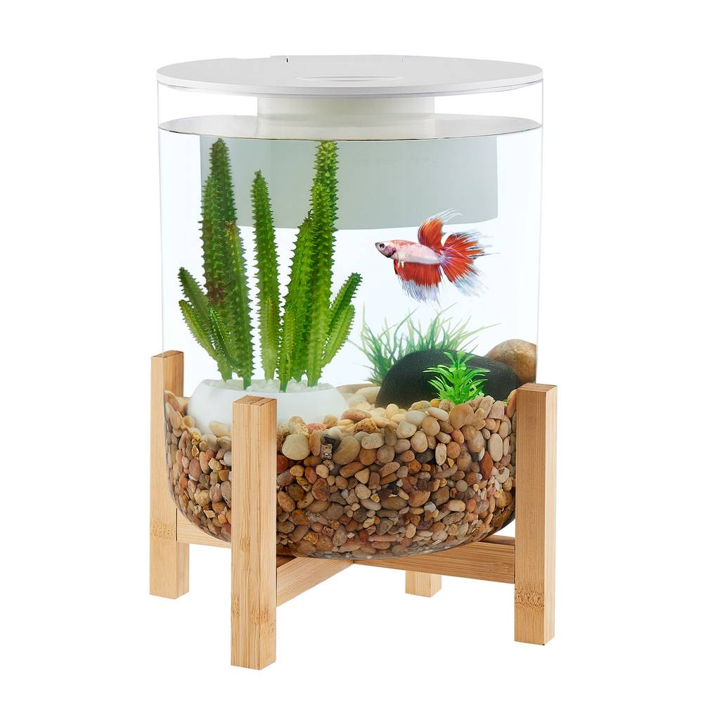 PetSmart Top Fin Bamboo Base Aquarium