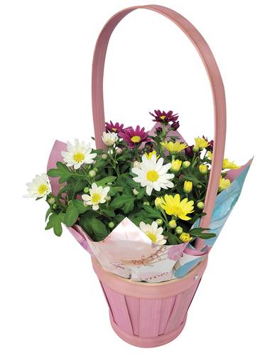 Flowers mise à niveau de fleurette - fleurette upgrade (5 in)