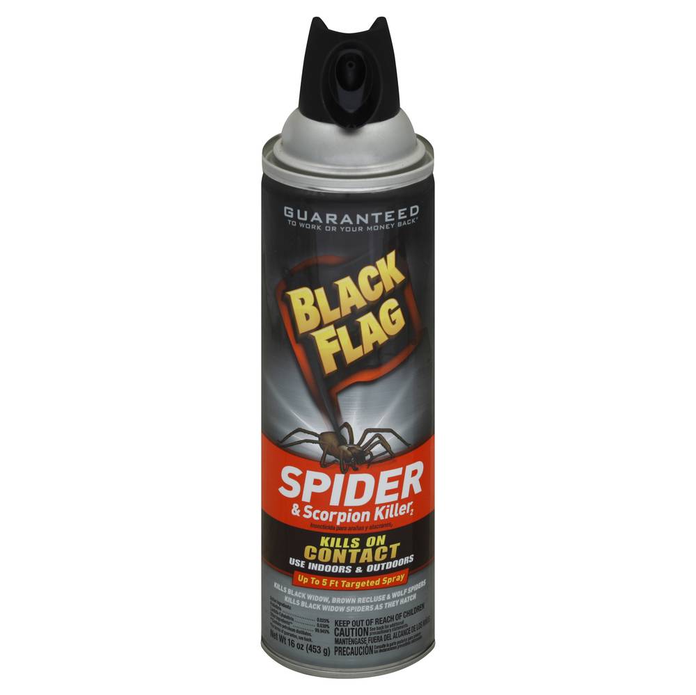 Black Flag Spider & Scorpion Killer