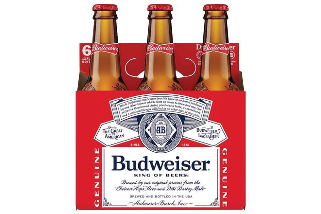 6 Pack Budweiser