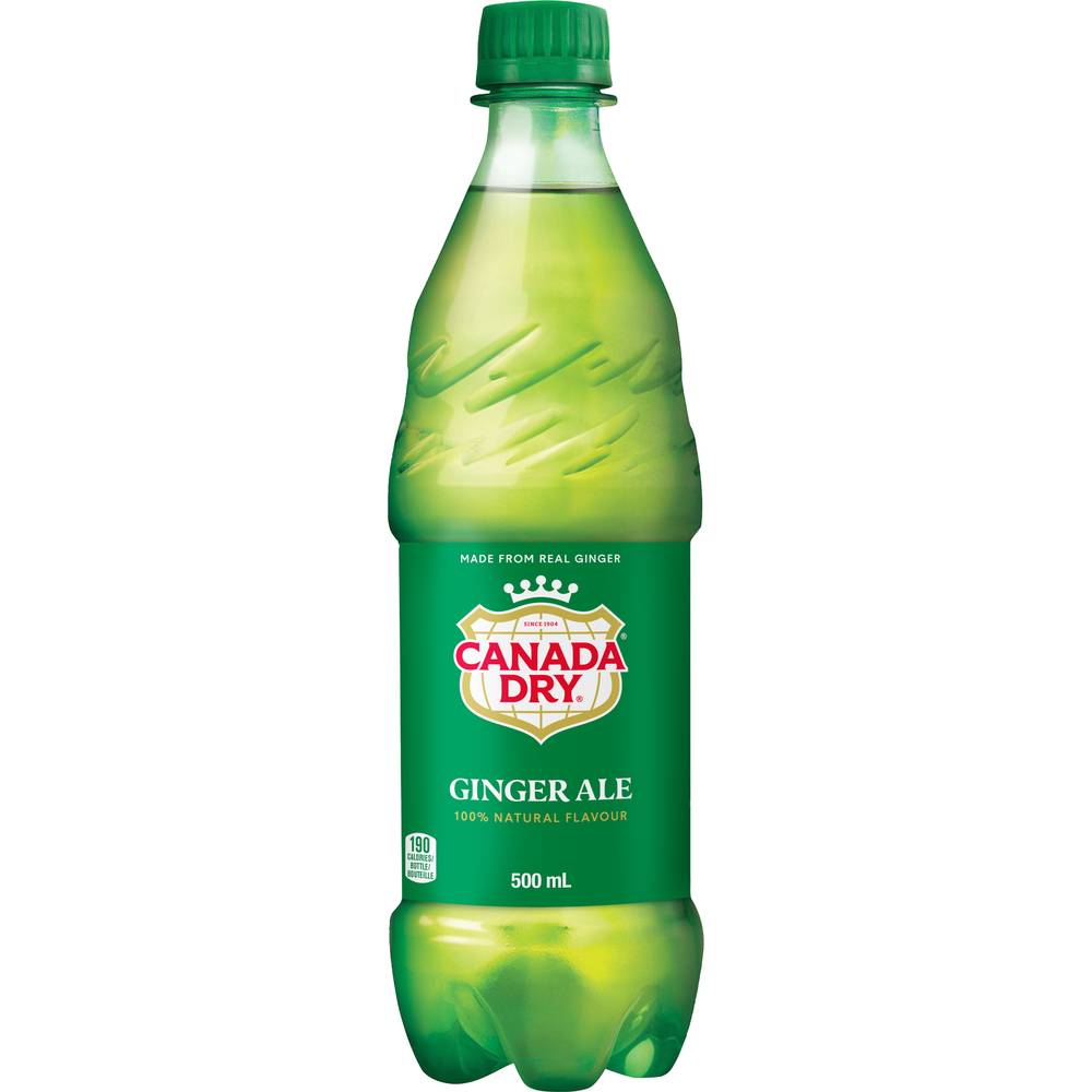 Canada Dry Ginger Ale (500 ml)