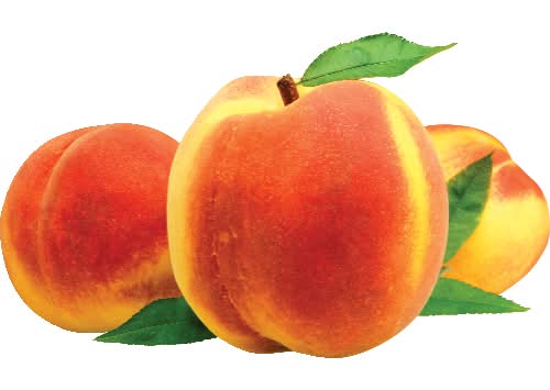Organic Yellow Peach