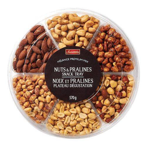 Irresistibles · Nuts praline premium mix - Melange premium noix praline (570 g - 570GR)