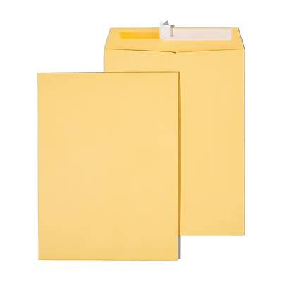 Staples Easy Close Catalog Envelopes (9-x-12-inch/brown)