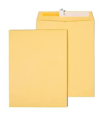 Staples QuickStrip EasyClose Kraft Self Seal Catalog Envelopes, 9 x 12, Brown, 100/Box (ST381970-CC)